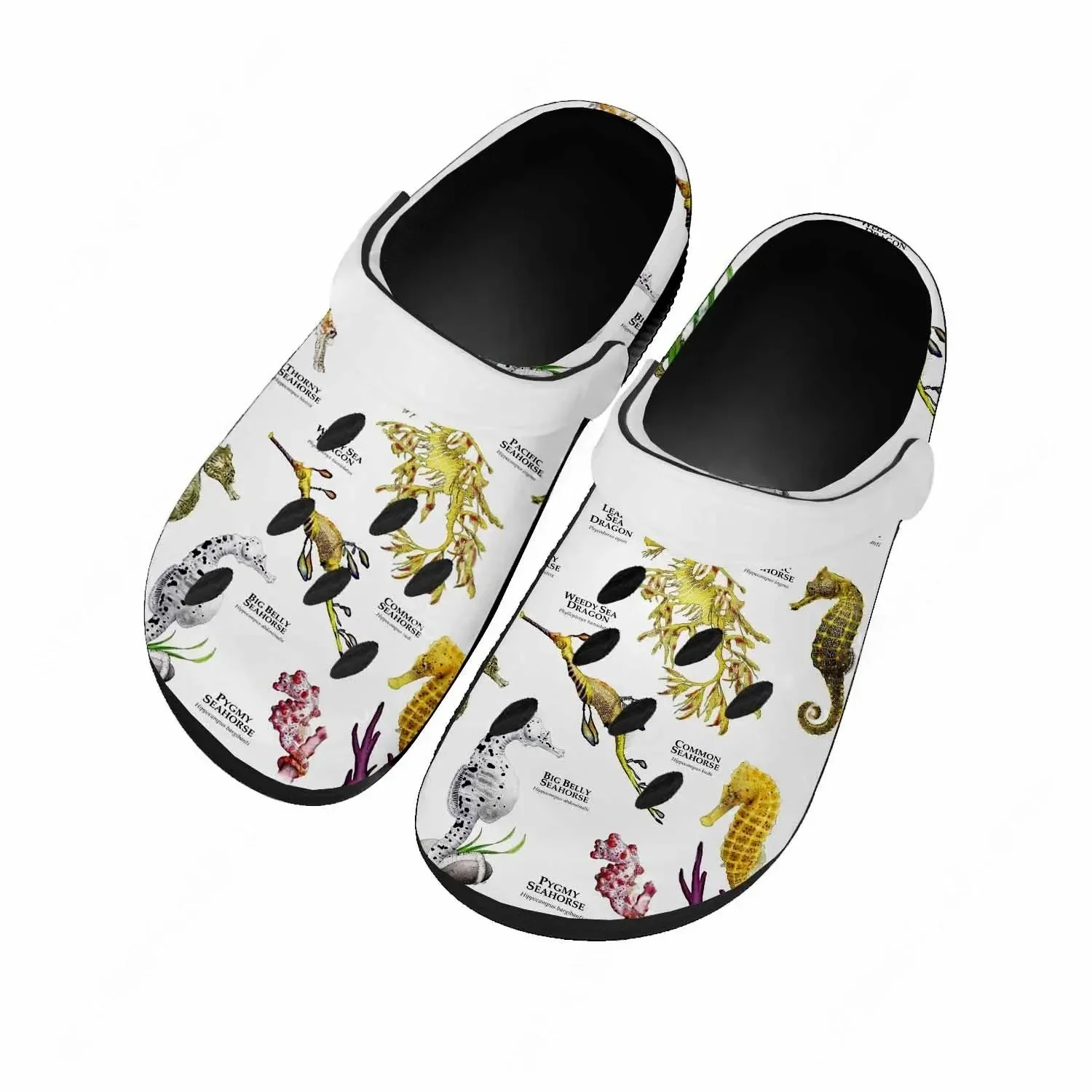 Seahorse Sandals Women Teenage - đánh giá và giá Men'S Shoes Quality